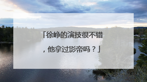 徐峥的演技很不错，他拿过影帝吗？