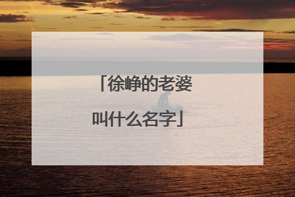 徐峥的老婆叫什么名字