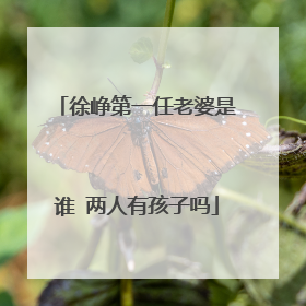 徐峥第一任老婆是谁 两人有孩子吗