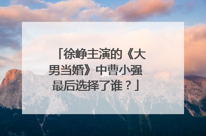 徐峥主演的《大男当婚》中曹小强最后选择了谁？