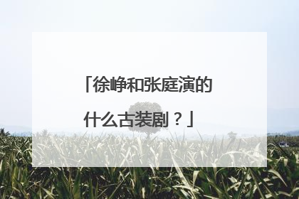 徐峥和张庭演的什么古装剧?