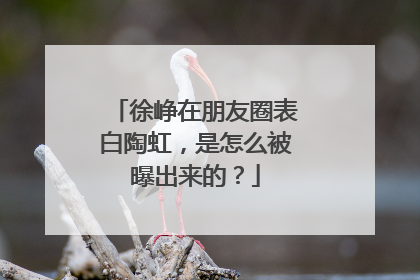 徐峥在朋友圈表白陶虹,是怎么被曝出来的?