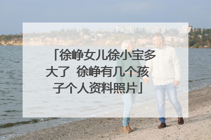 徐峥女儿徐小宝多大了 徐峥有几个孩子个人资料照片