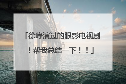 徐峥演过的眼影电视剧!帮我总结一下!!