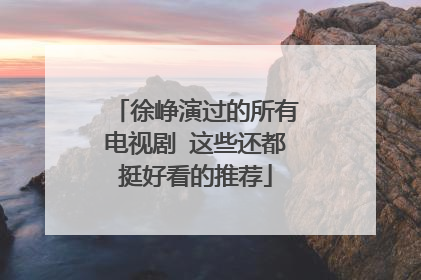 徐峥演过的所有电视剧 这些还都挺好看的推荐