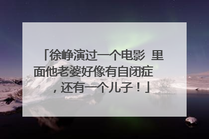 徐峥演过一个电影 里面他老婆好像有自闭症 ,还有一个儿子!