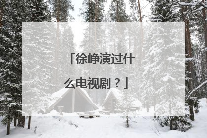 徐峥演过什么电视剧？