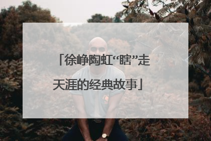 徐峥陶虹“瞎”走天涯的经典故事