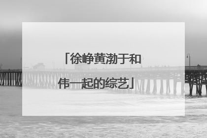 徐峥黄渤于和伟一起的综艺