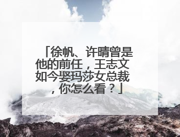 徐帆、许晴曾是他的前任,王志文如今娶玛莎女总裁,你怎么看?