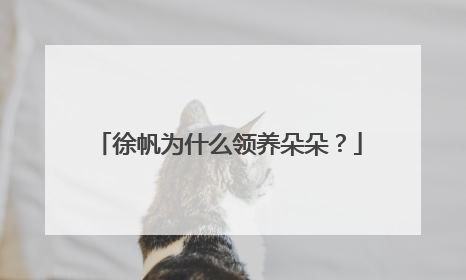 徐帆为什么领养朵朵？