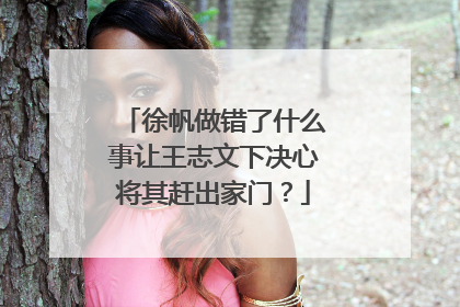 徐帆做错了什么事让王志文下决心将其赶出家门?