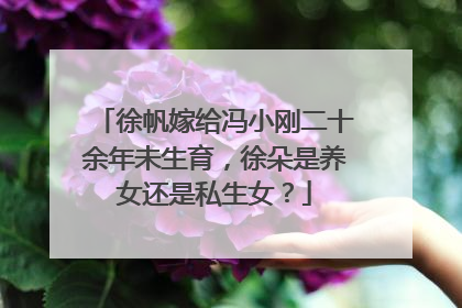 徐帆嫁给冯小刚二十余年未生育,徐朵是养女还是私生女?