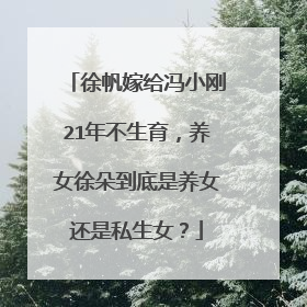 徐帆嫁给冯小刚21年不生育,养女徐朵到底是养女还是私生女?