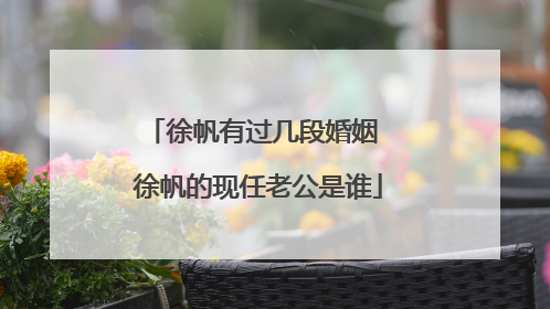 徐帆有过几段婚姻 徐帆的现任老公是谁