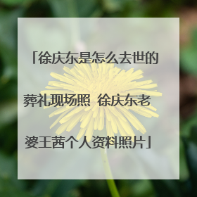 徐庆东是怎么去世的葬礼现场照 徐庆东老婆王茜个人资料照片