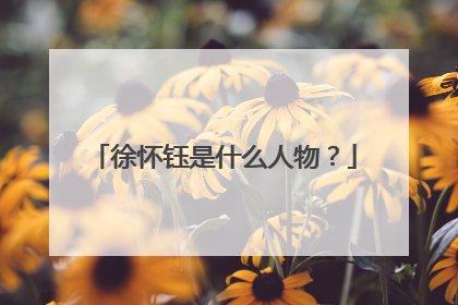 徐怀钰是什么人物?