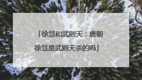 徐慧和武则天:唐朝徐慧是武则天杀的吗