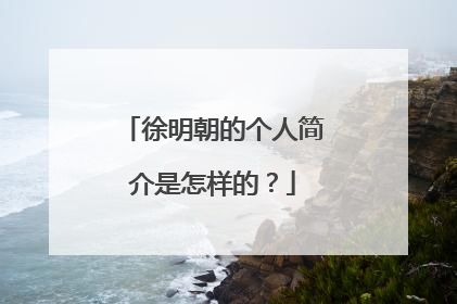 徐明朝的个人简介是怎样的？