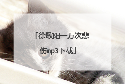 徐歌阳一万次悲伤mp3下载