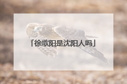 徐歌阳是沈阳人吗