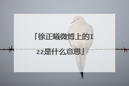 徐正曦微博上的Izz是什么意思