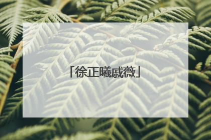 徐正曦戚薇