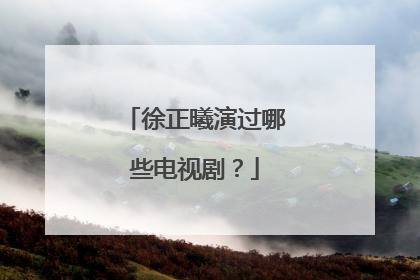 徐正曦演过哪些电视剧？