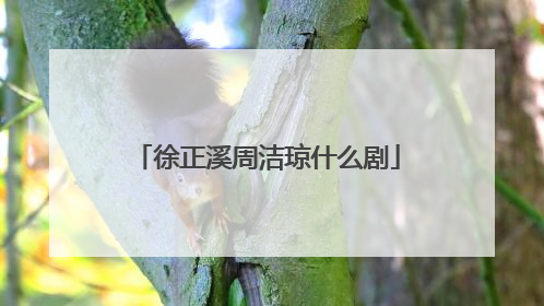 徐正溪周洁琼什么剧