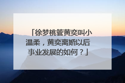 徐梦桃管黄奕叫小温柔,黄奕离婚以后事业发展的如何?