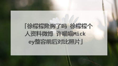 徐檬檬隆胸了吗 徐檬檬个人资料微博 许喵喵Mickey整容前后对比照片