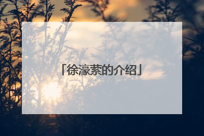 徐濠萦的介绍