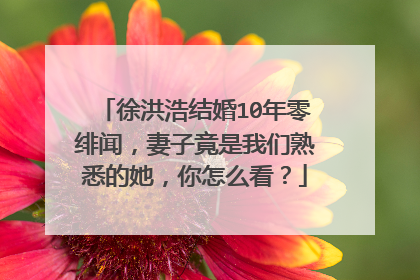 徐洪浩结婚10年零绯闻,妻子竟是我们熟悉的她,你怎么看?