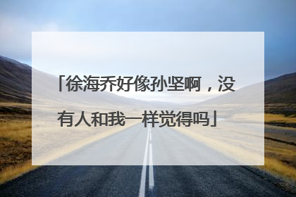 徐海乔好像孙坚啊，没有人和我一样觉得吗