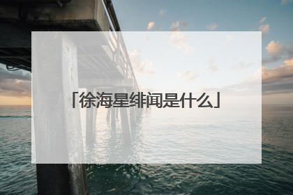 徐海星绯闻是什么