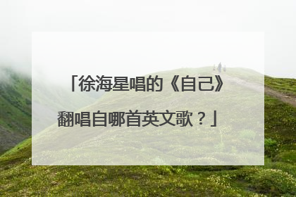 徐海星唱的《自己》翻唱自哪首英文歌？