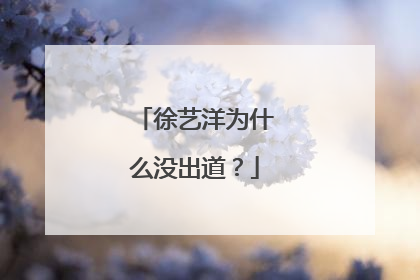 徐艺洋为什么没出道？