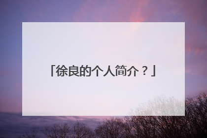 徐良的个人简介？