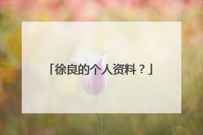 徐良的个人资料？