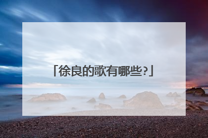 徐良的歌有哪些?
