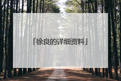 徐良的详细资料