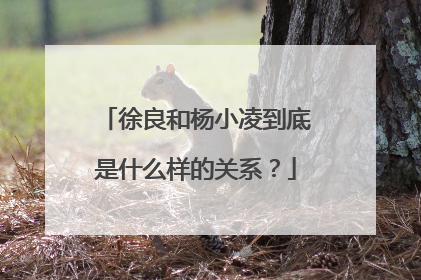 徐良和杨小凌到底是什么样的关系?