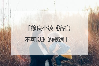 徐良小凌《客官不可以》的歌词