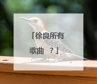 徐良所有歌曲 ？