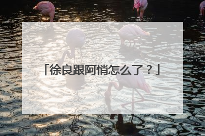 徐良跟阿悄怎么了？