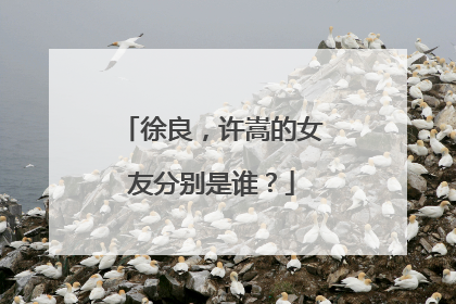 徐良，许嵩的女友分别是谁？