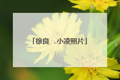 徐良 .小凌照片