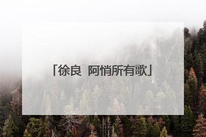 徐良 阿悄所有歌