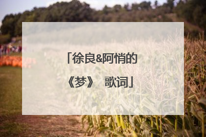 徐良&阿悄的《梦》 歌词