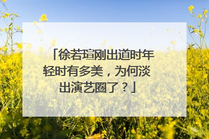 徐若瑄刚出道时年轻时有多美，为何淡出演艺圈了？